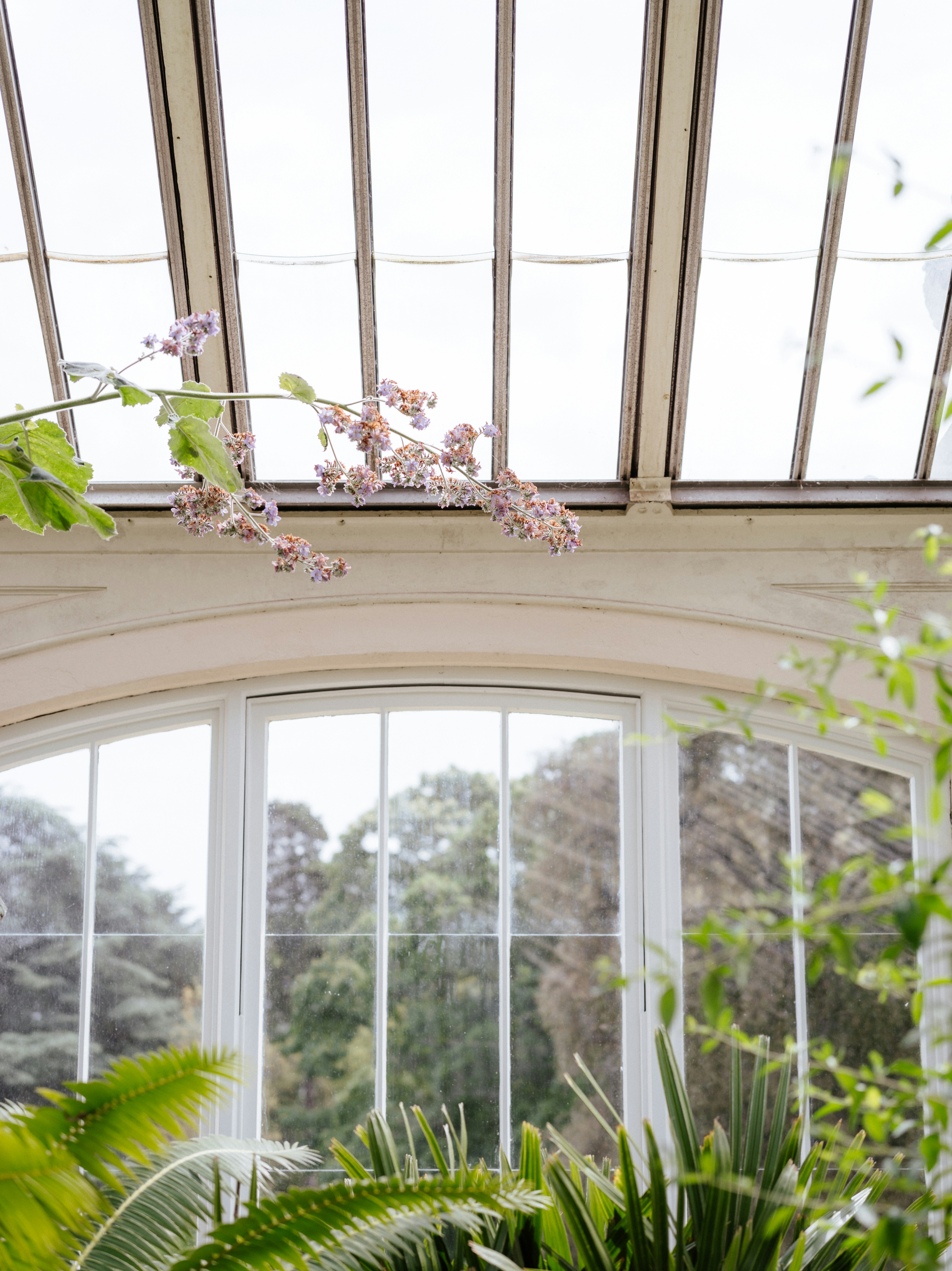 Photo by anniespratt