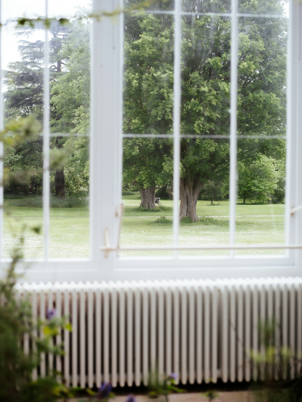 a window with a view of a field and trees