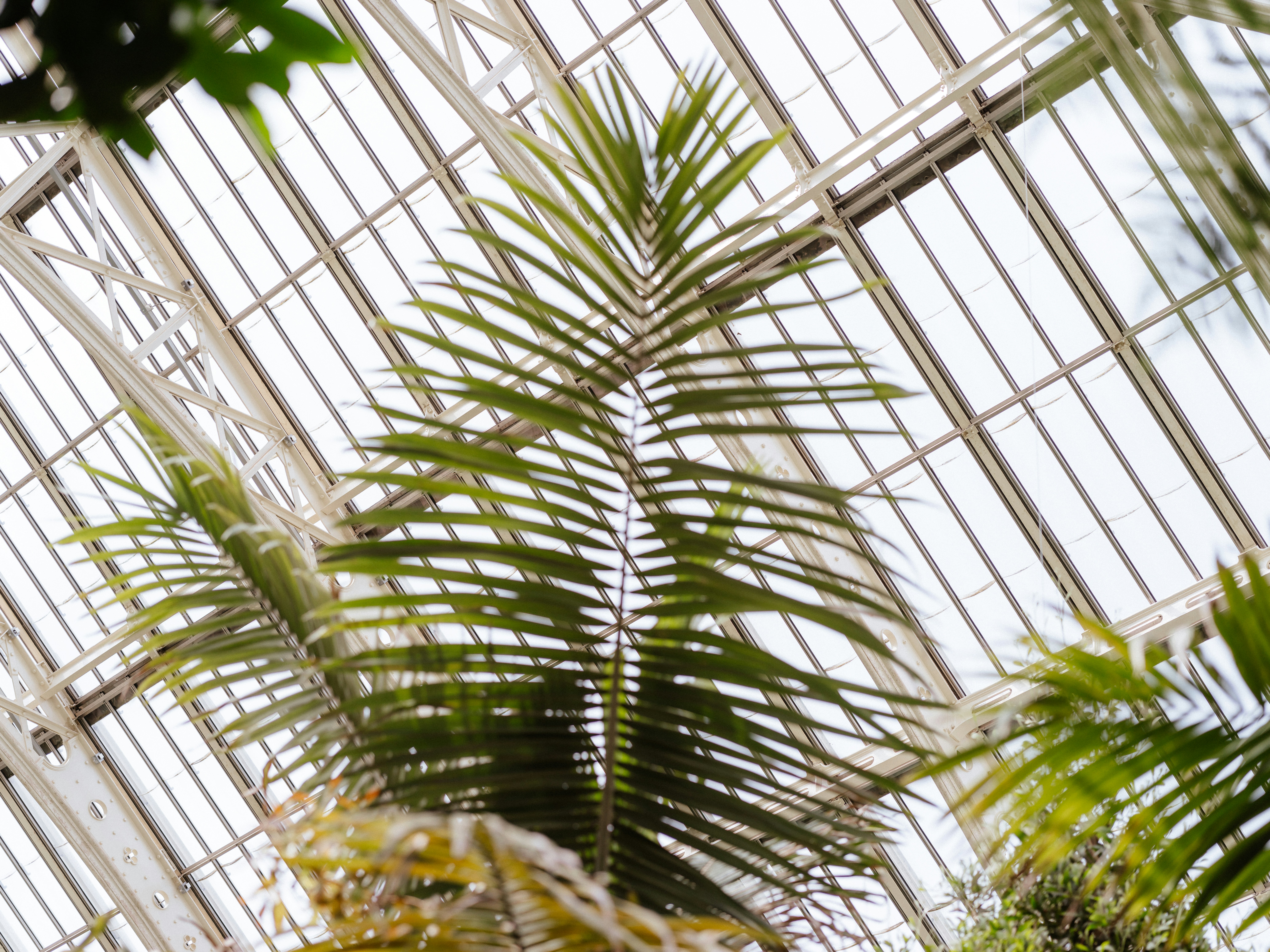 Photo by anniespratt