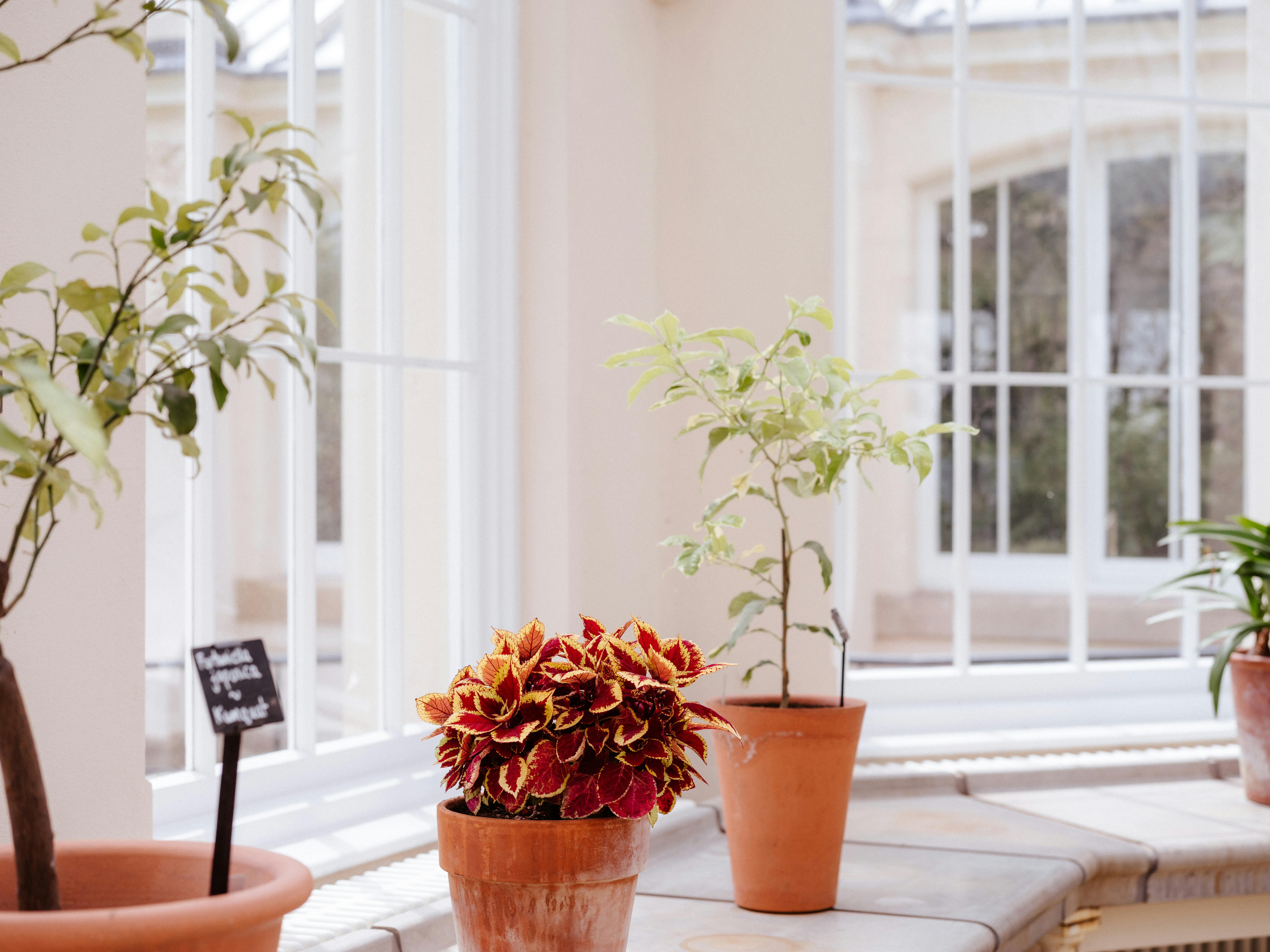 Photo by anniespratt