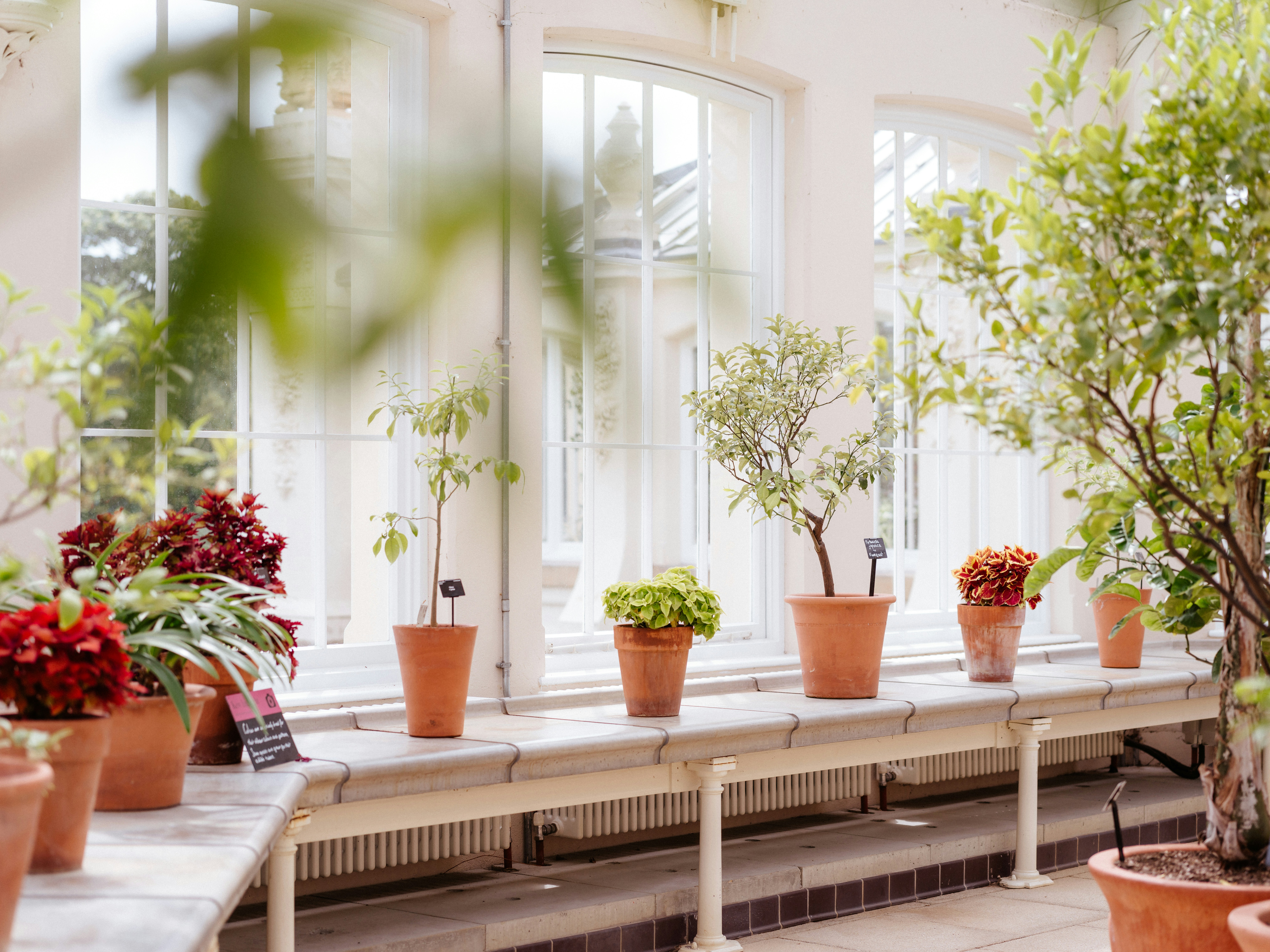 Photo by anniespratt