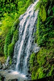 a small waterfall in the middle of a forest