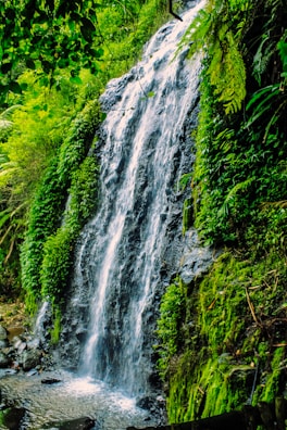 a small waterfall in the middle of a forest