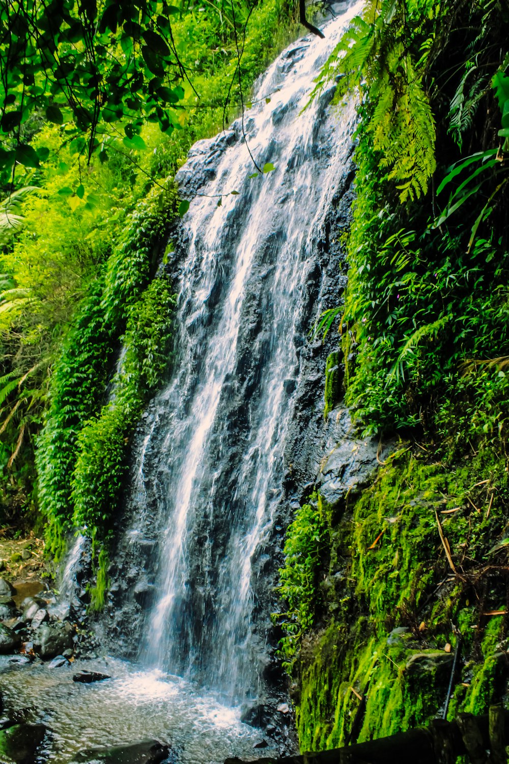 a small waterfall in the middle of a forest