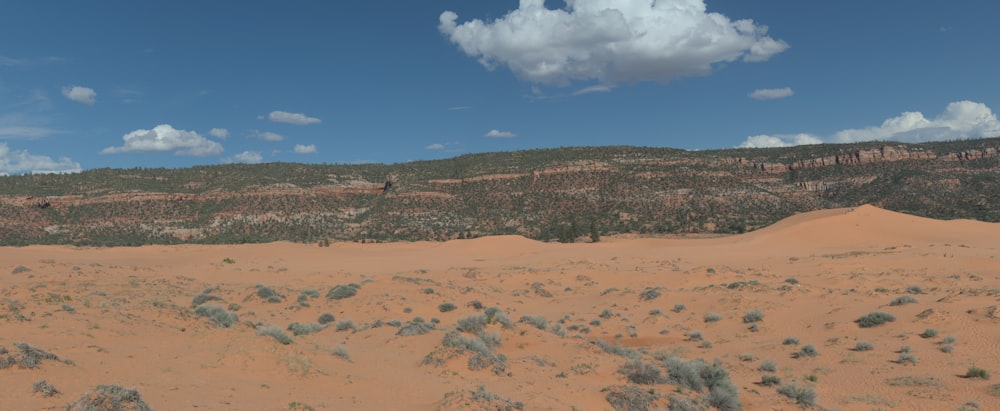 a desert landscape with a mountain in the background