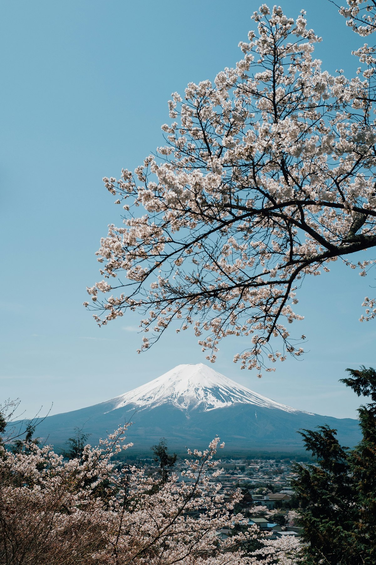 Nagoya 3-Day Itinerary: Castles, Shrines & Local Flavors