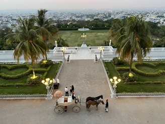 A scenic view of downtown during a carriage tour.