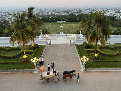 A scenic view of downtown during a carriage tour.