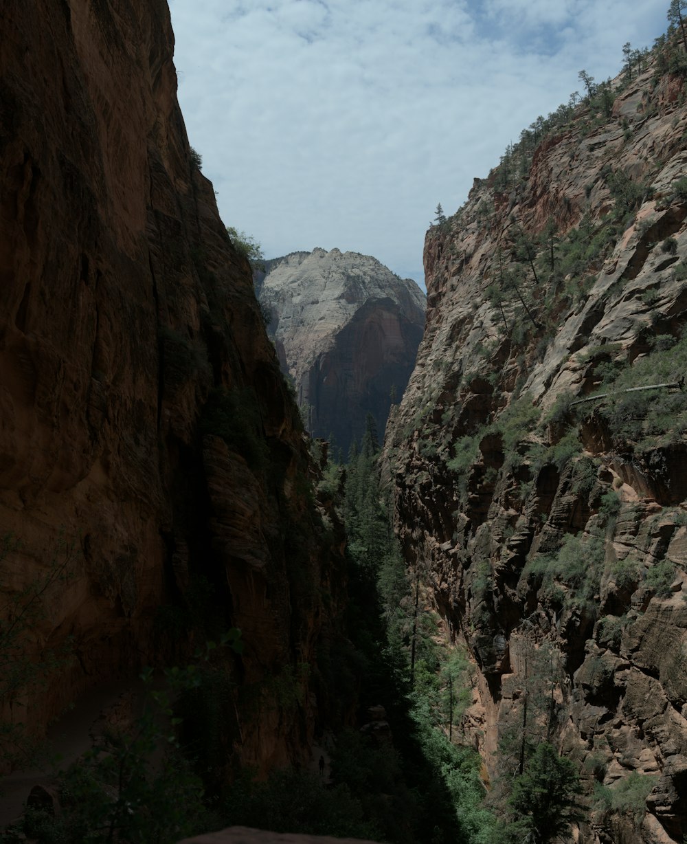 a view of a canyon with a mountain in the background