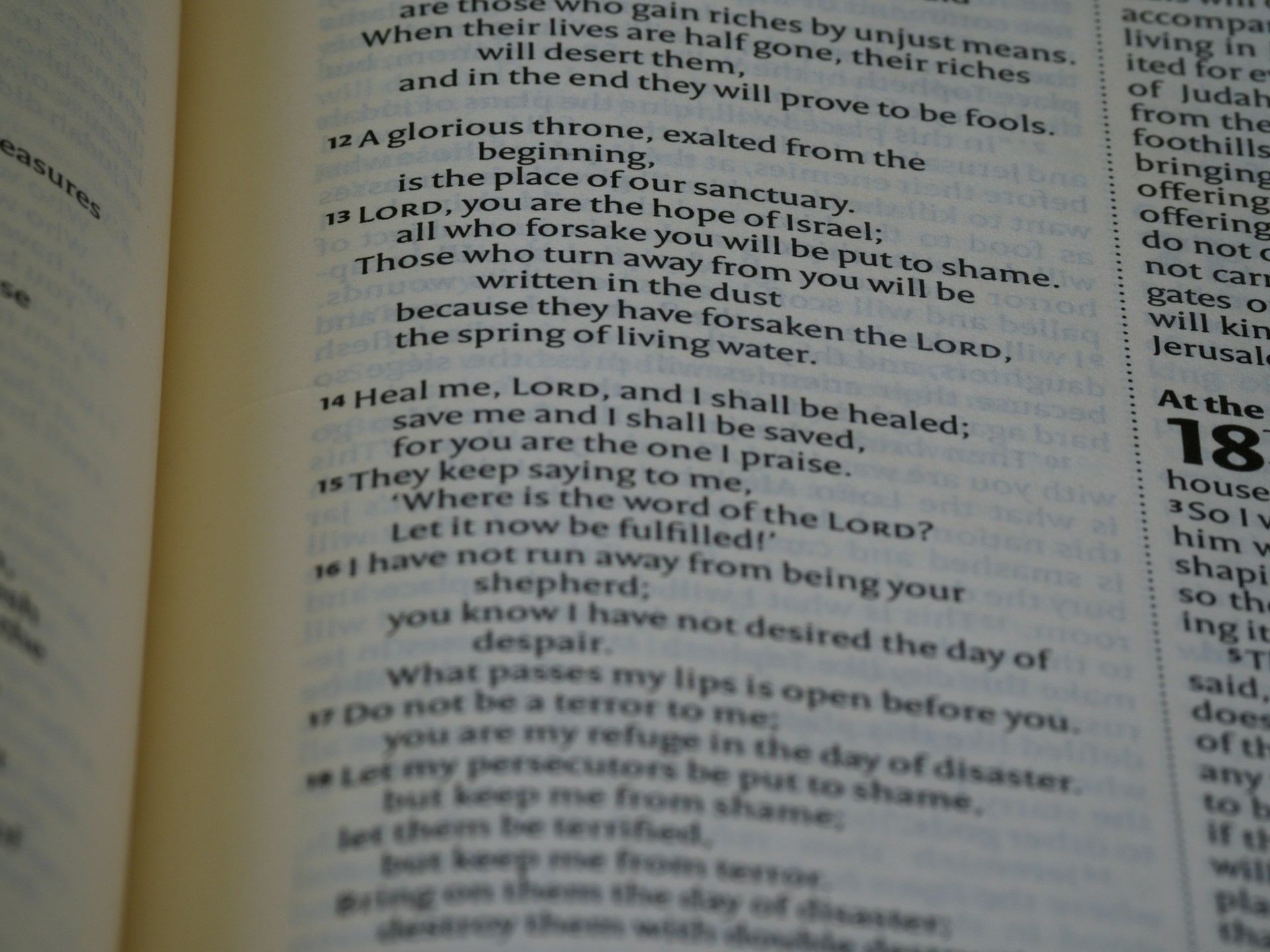 gray computer monitor