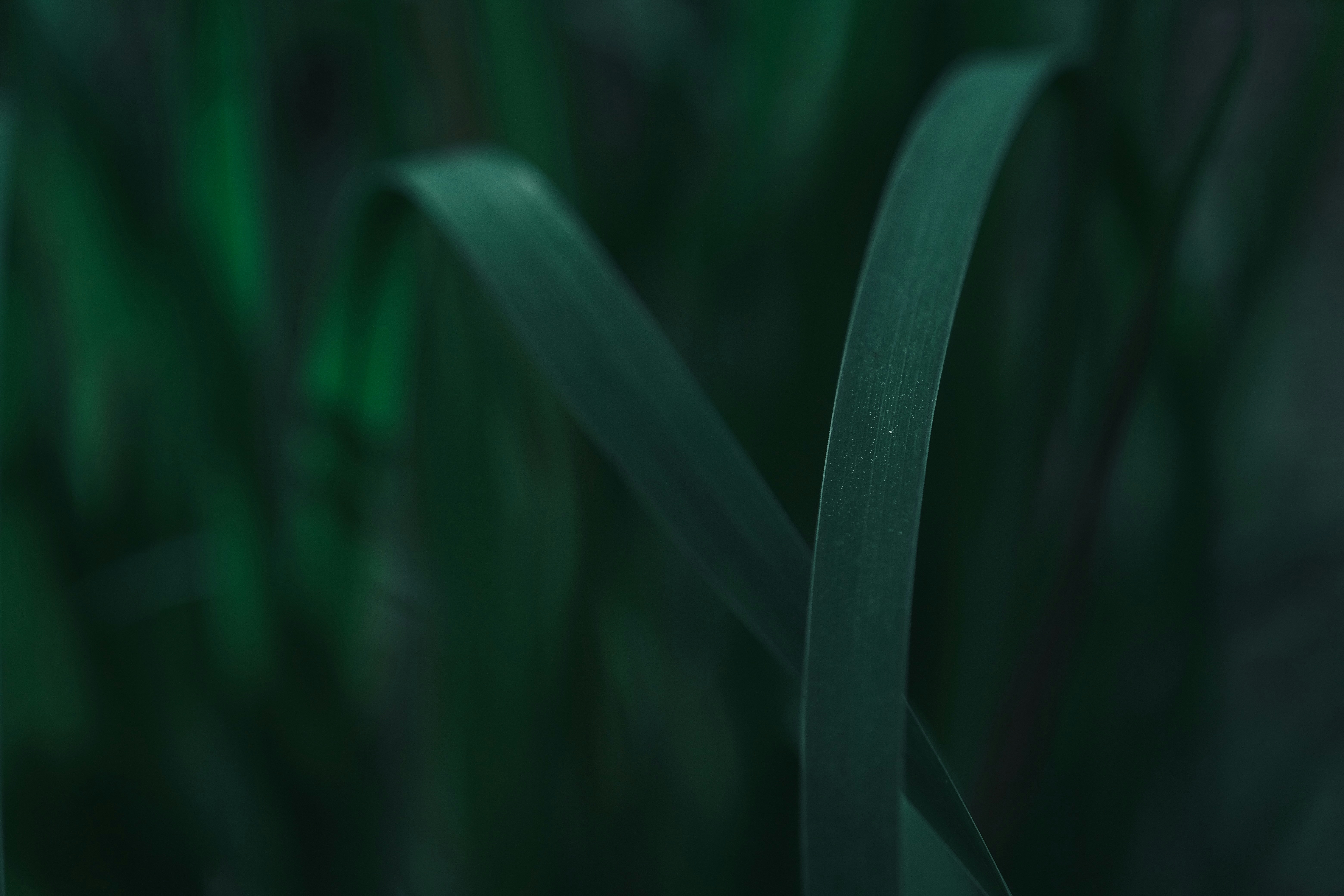 Photo by mkrawczynski