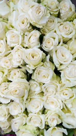 a large bouquet of white roses on a table