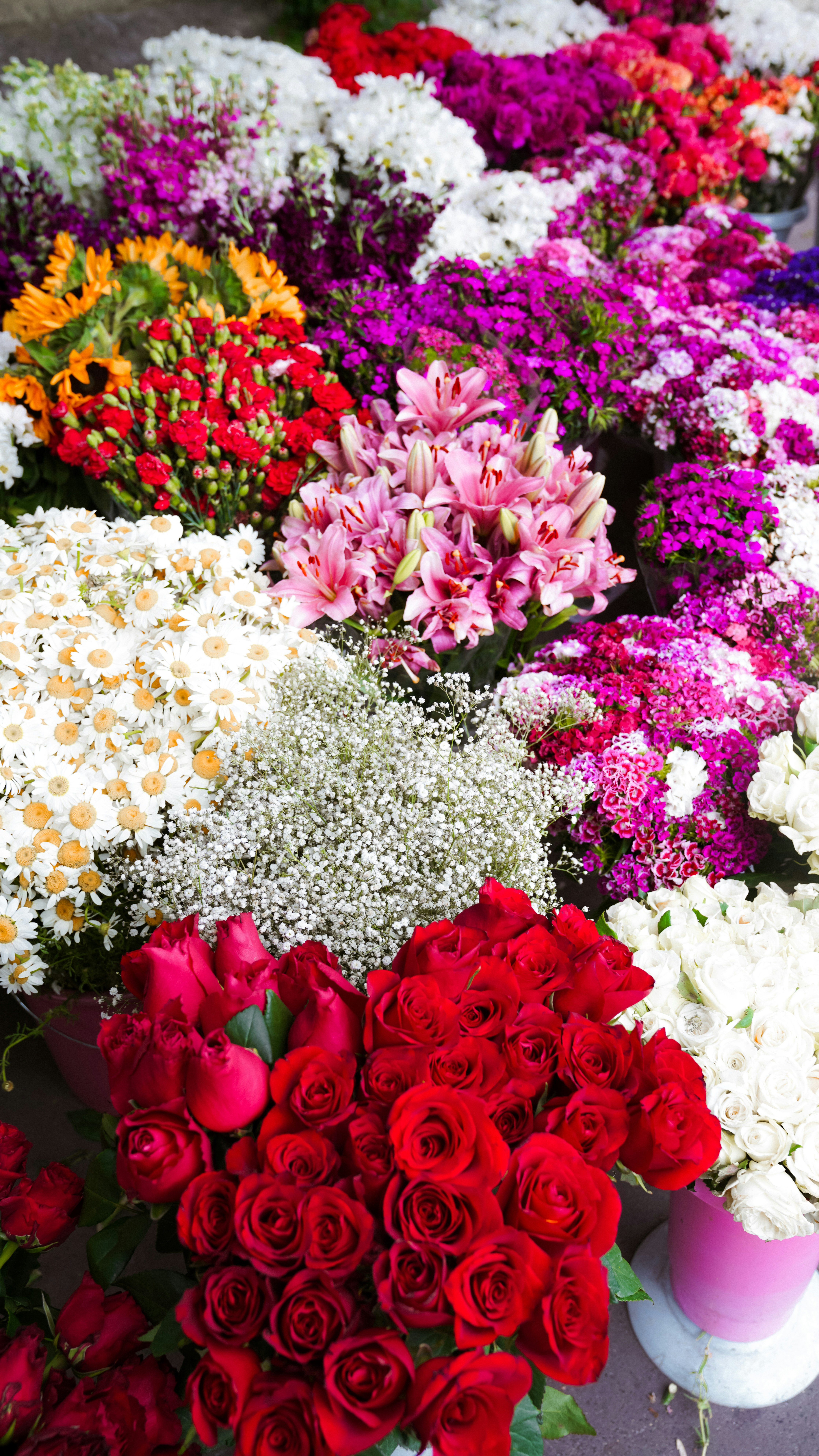 Flower Love Images | Download Free Pictures On Unsplash, image size:3000x5333