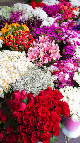 A vibrant assortment of red roses, pink lilies, and white daisies at a flower market