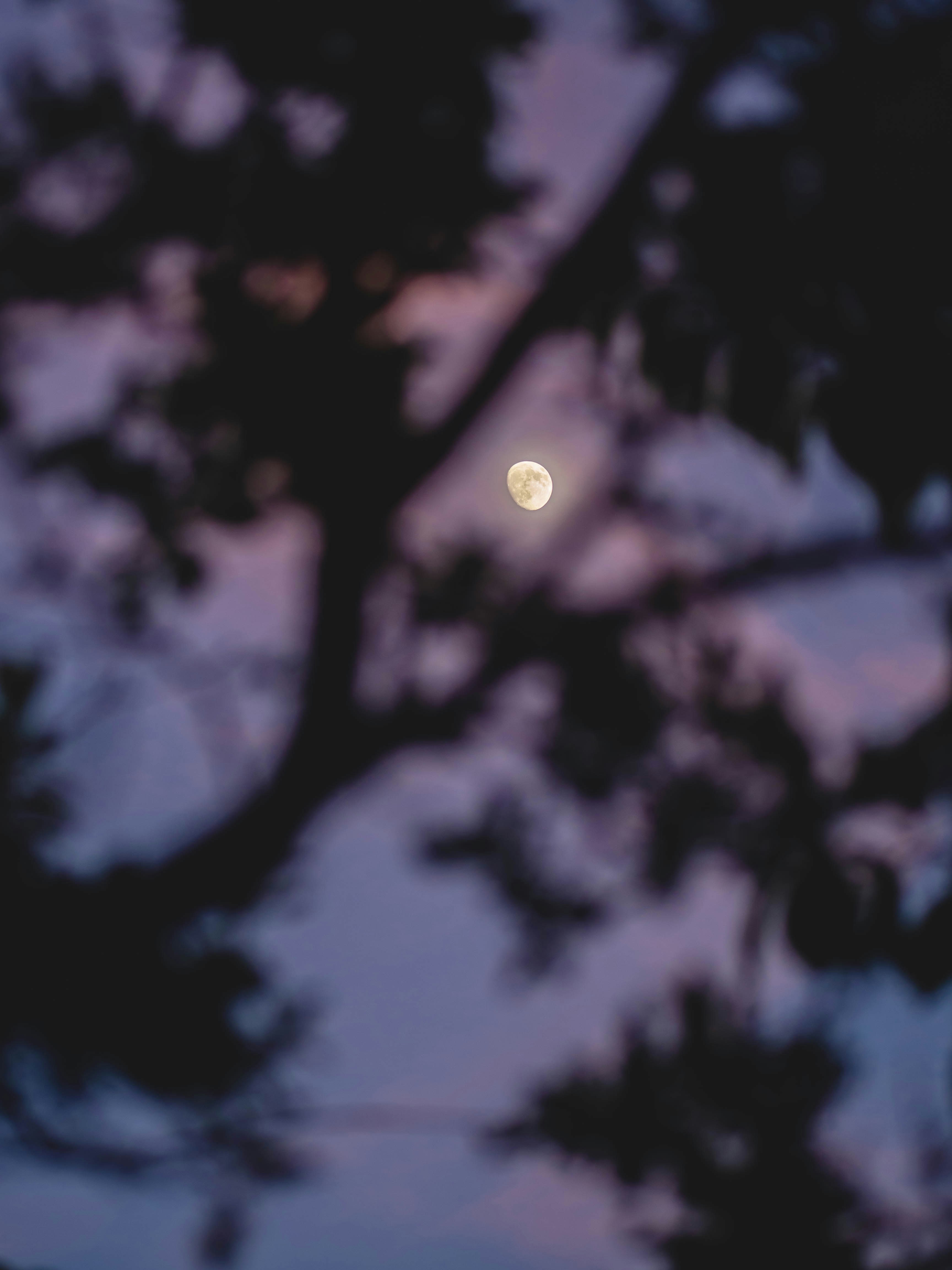 Photo by eileen_kummer