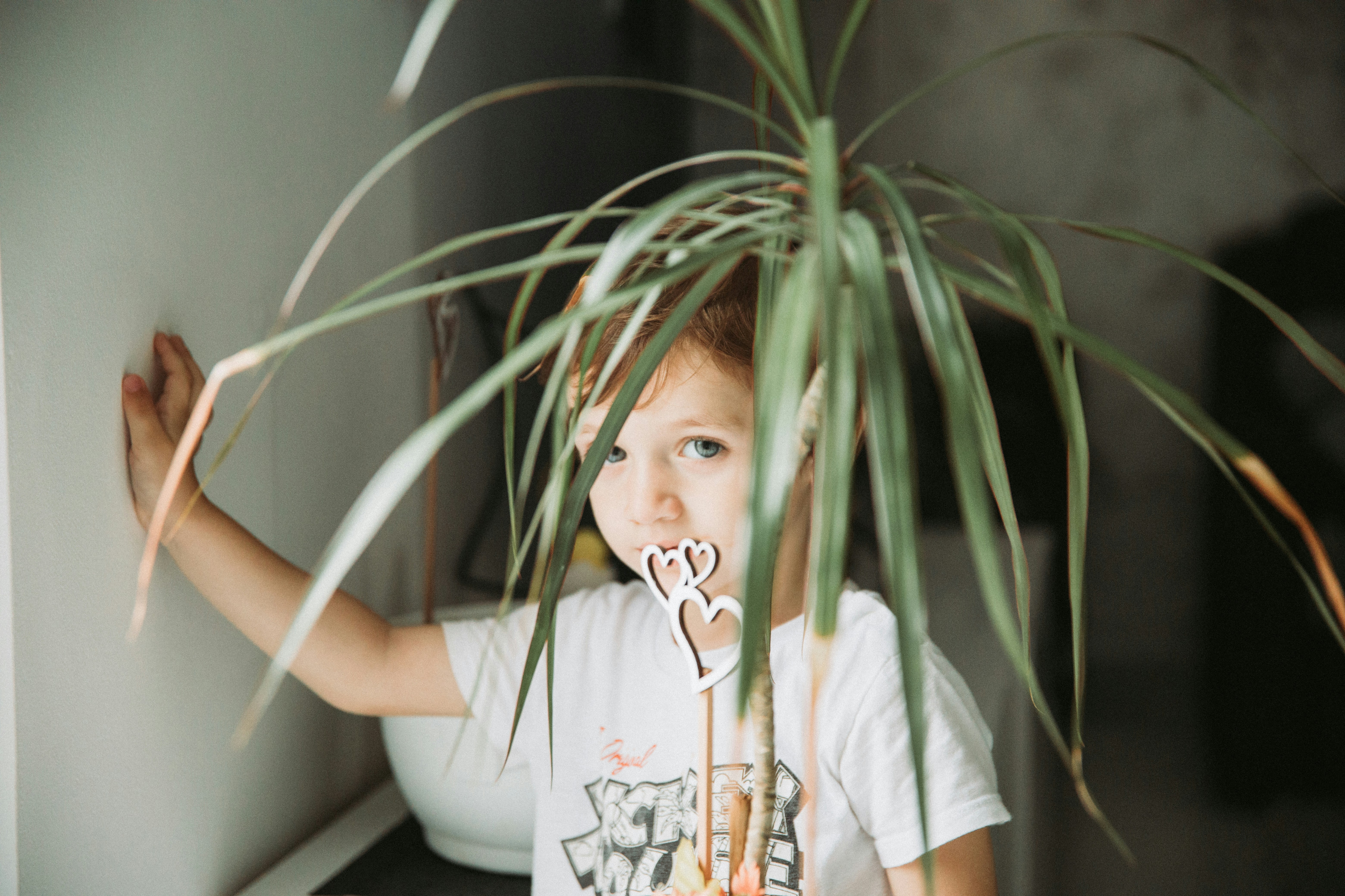 Photo by tamaragovedarov