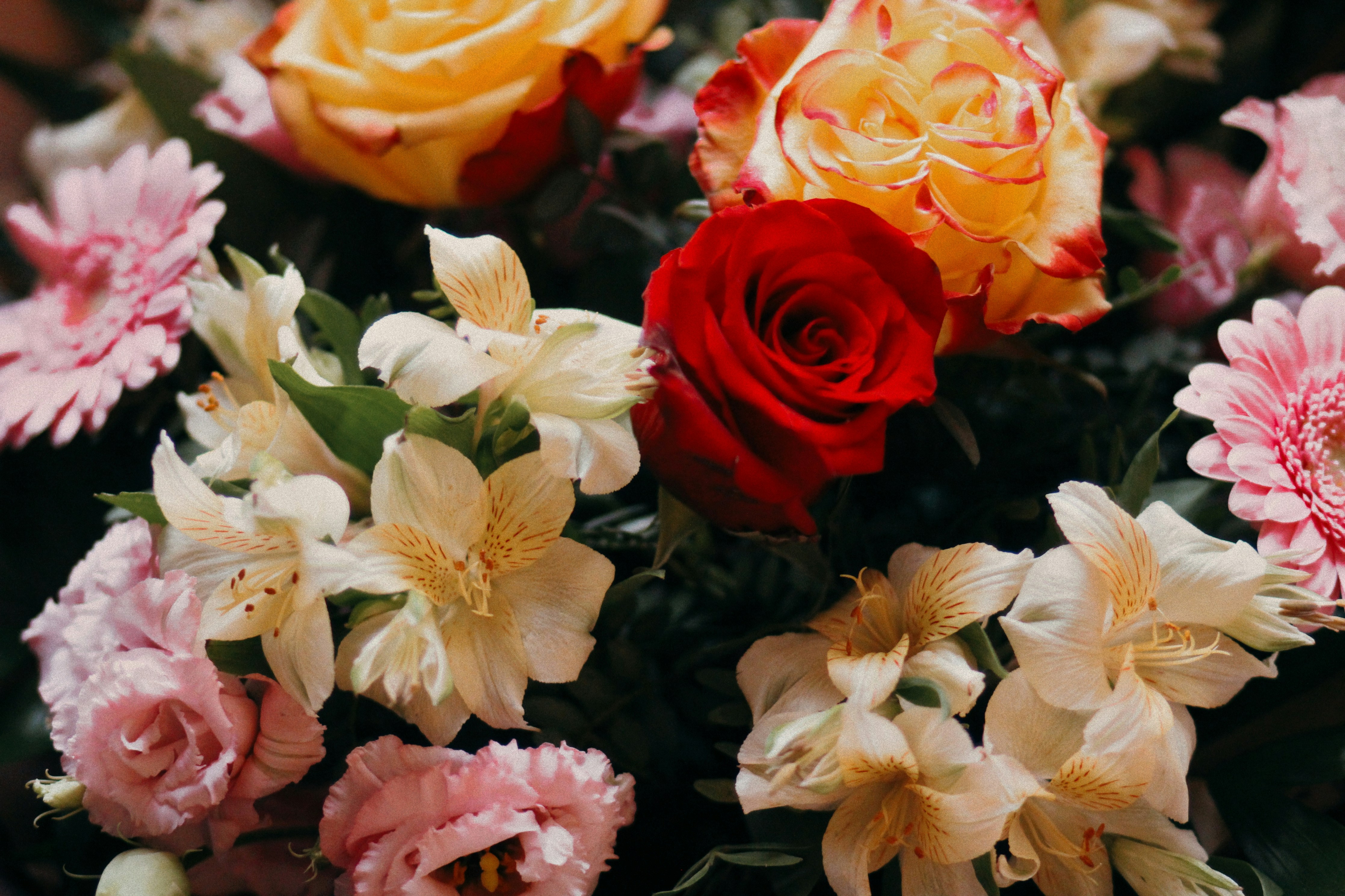 Photo by dearsunflower