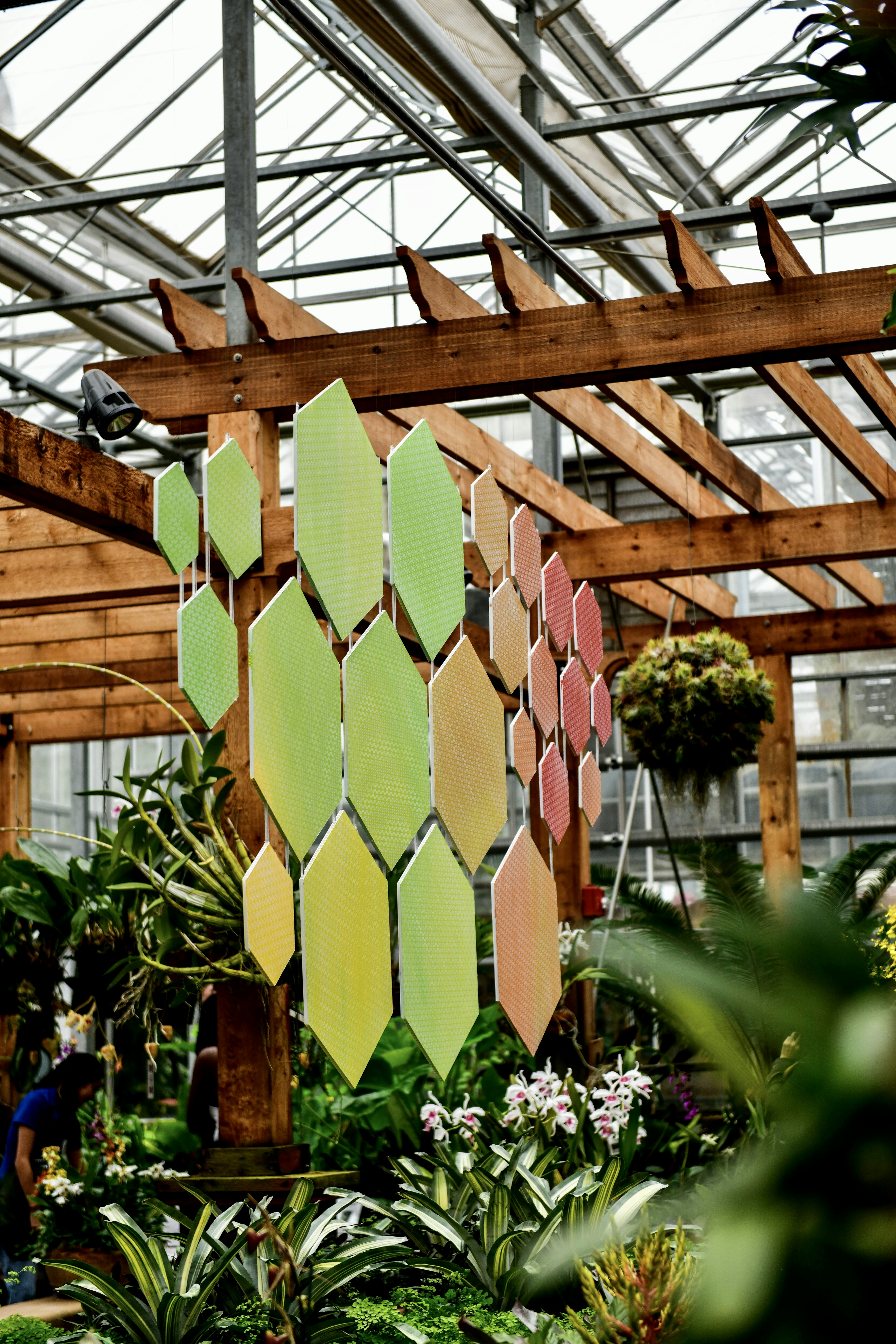 建物の中にある植物の束