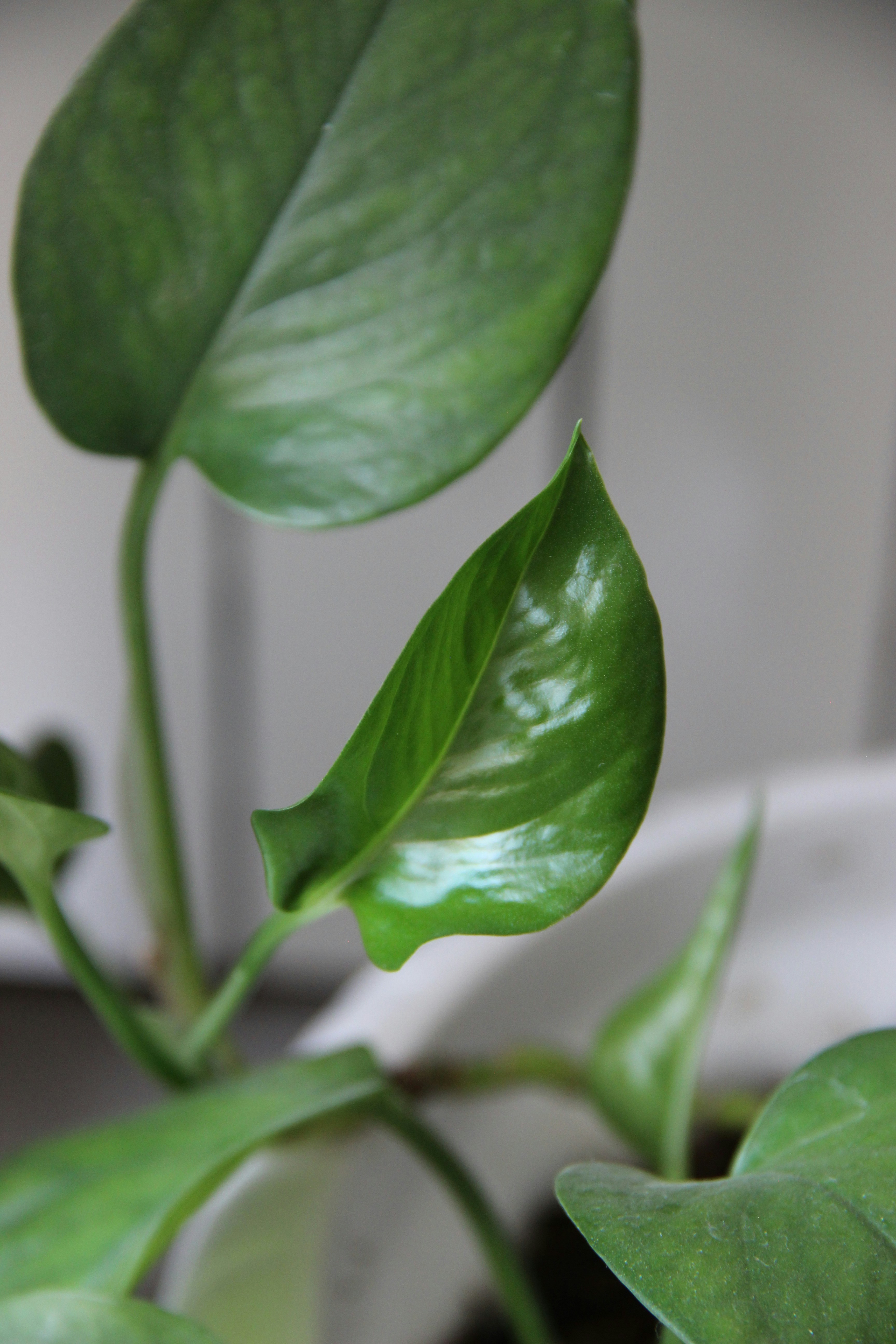 Photo by paris_nature_photo