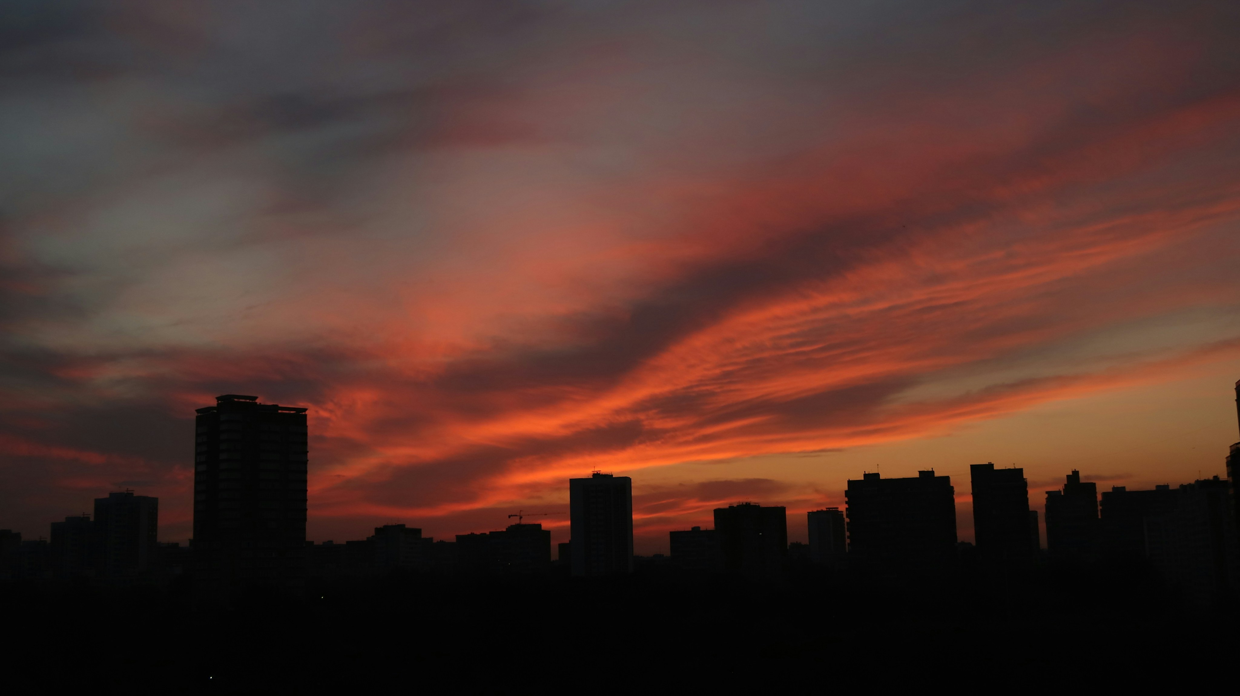 Photo by kashirenkova