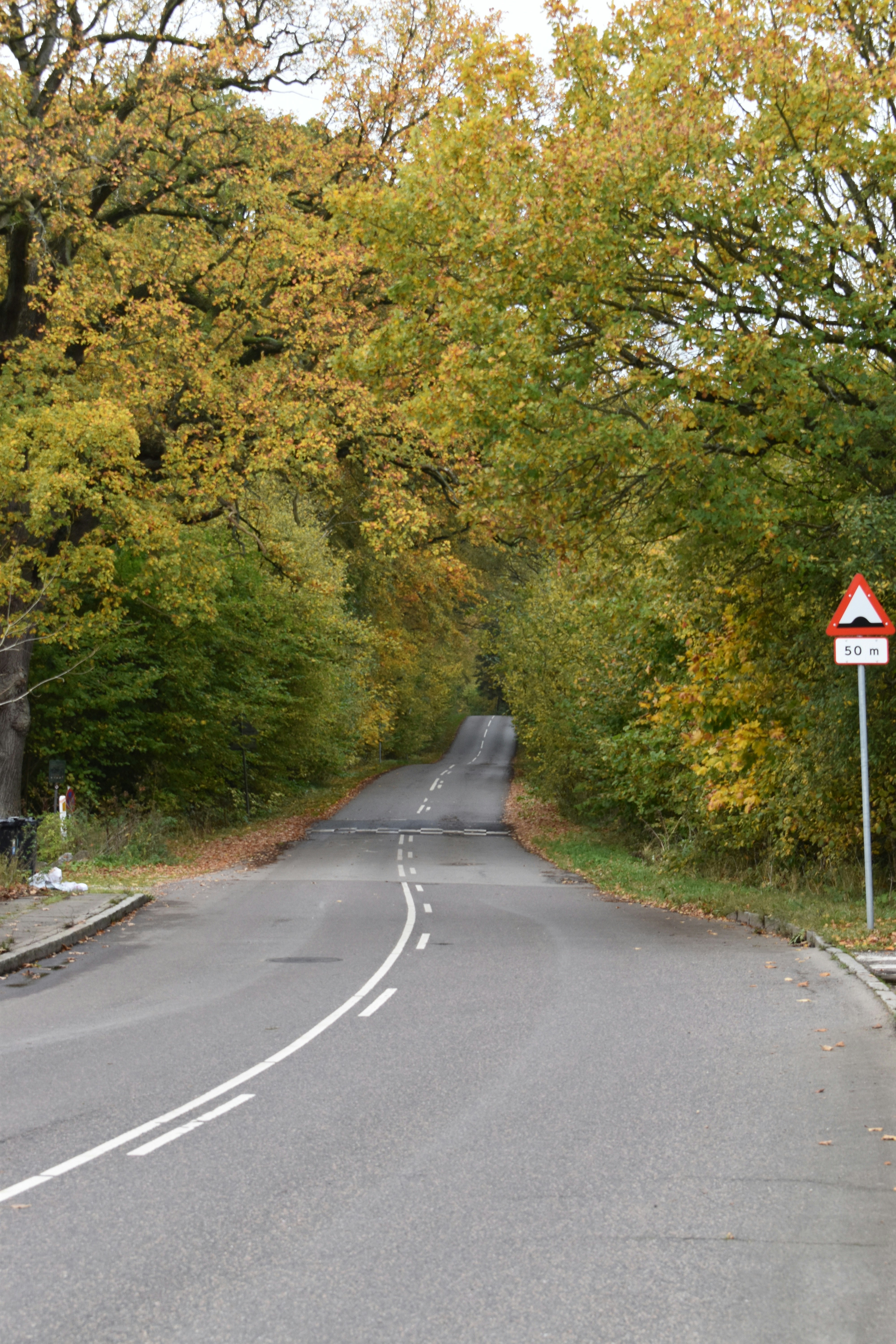 Photo by carolinebaasch