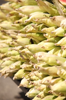 A vibrant display of fresh corn on the cob arranged on a wooden table.
