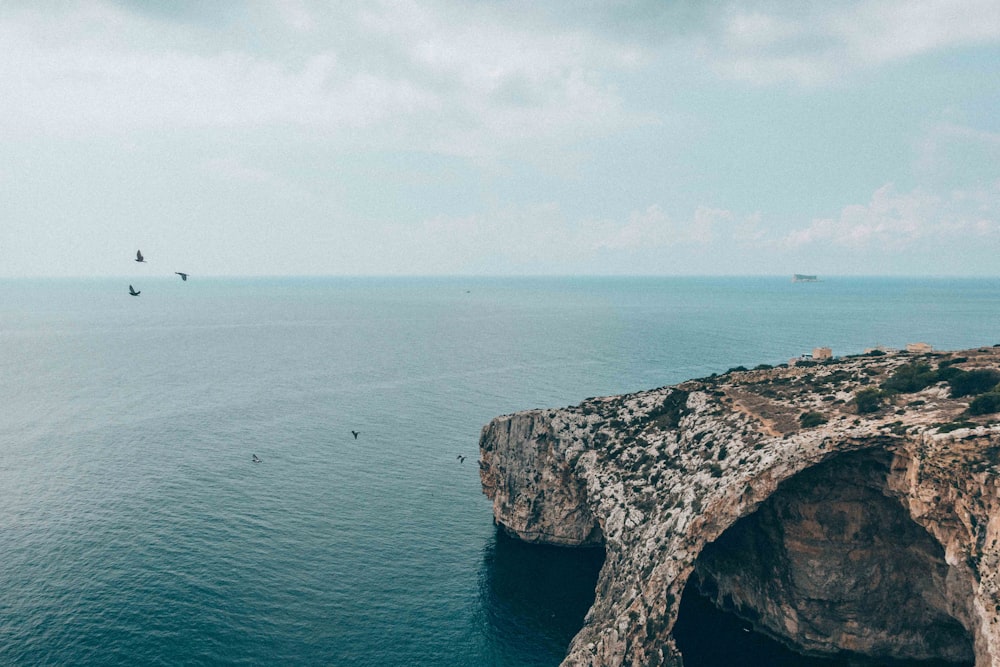 oiseaux survolant l’océan près d’une falaise