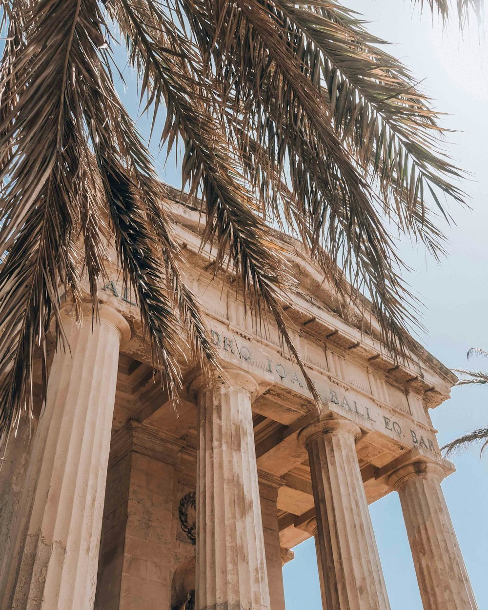 a tall building with columns and a palm tree