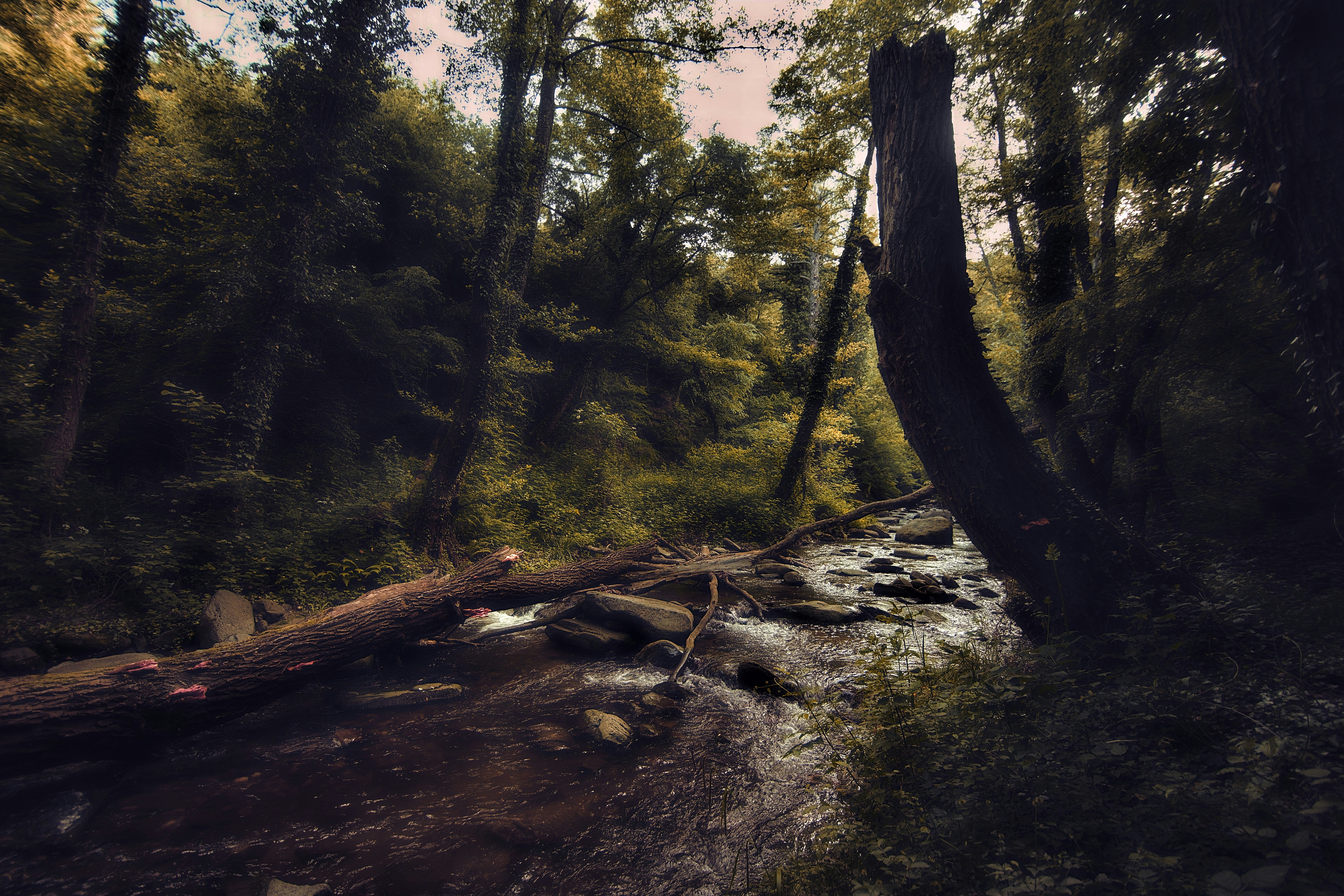 Photo by blooddrainer