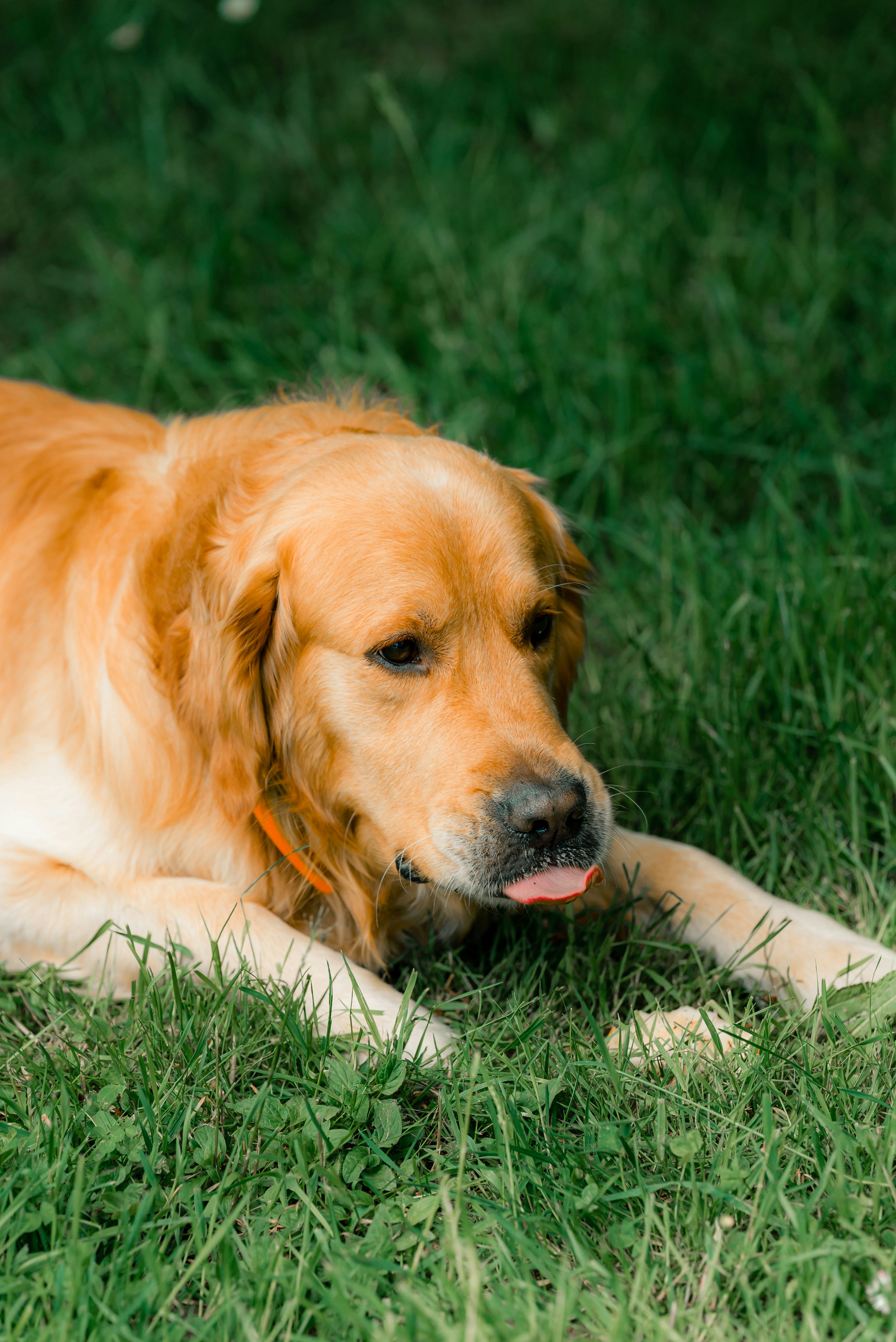 Photo by valentinlacoste