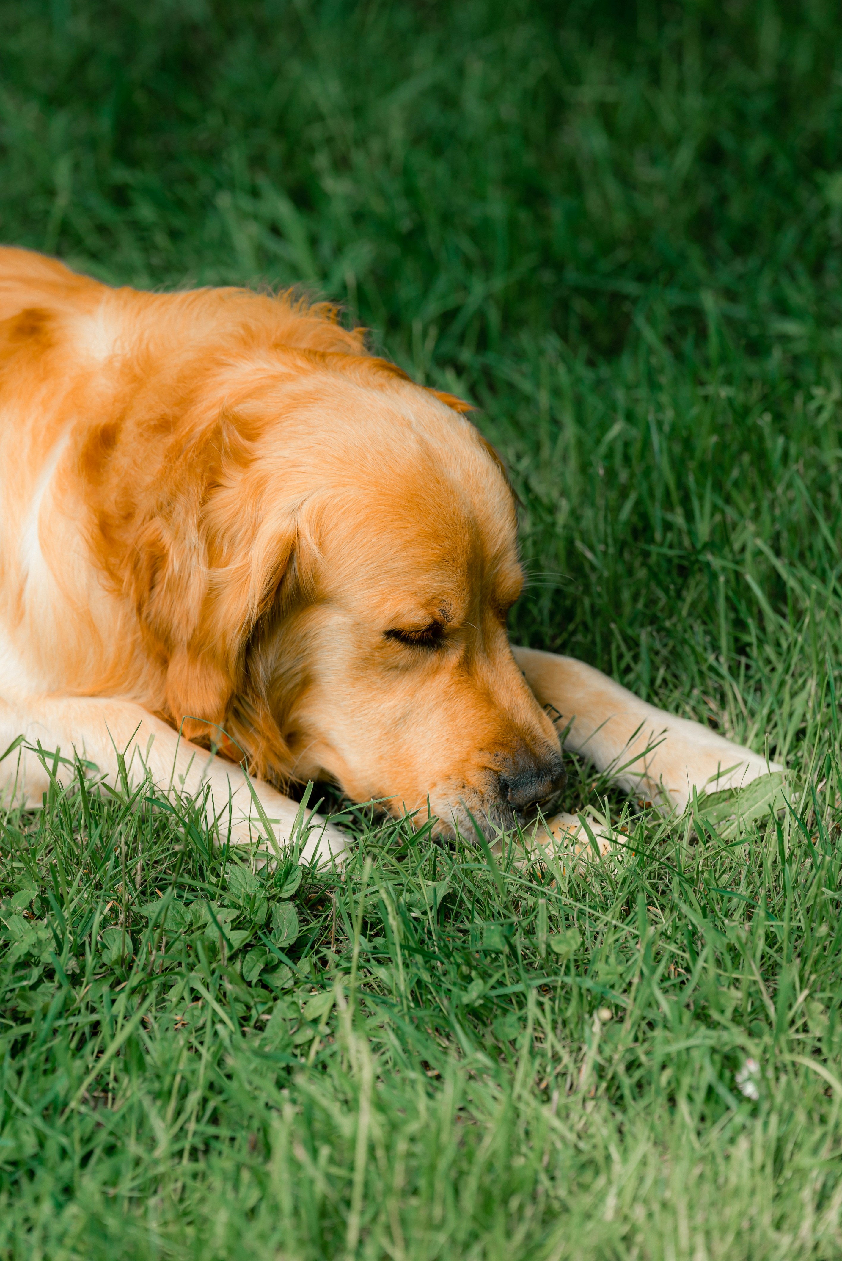 Photo by valentinlacoste