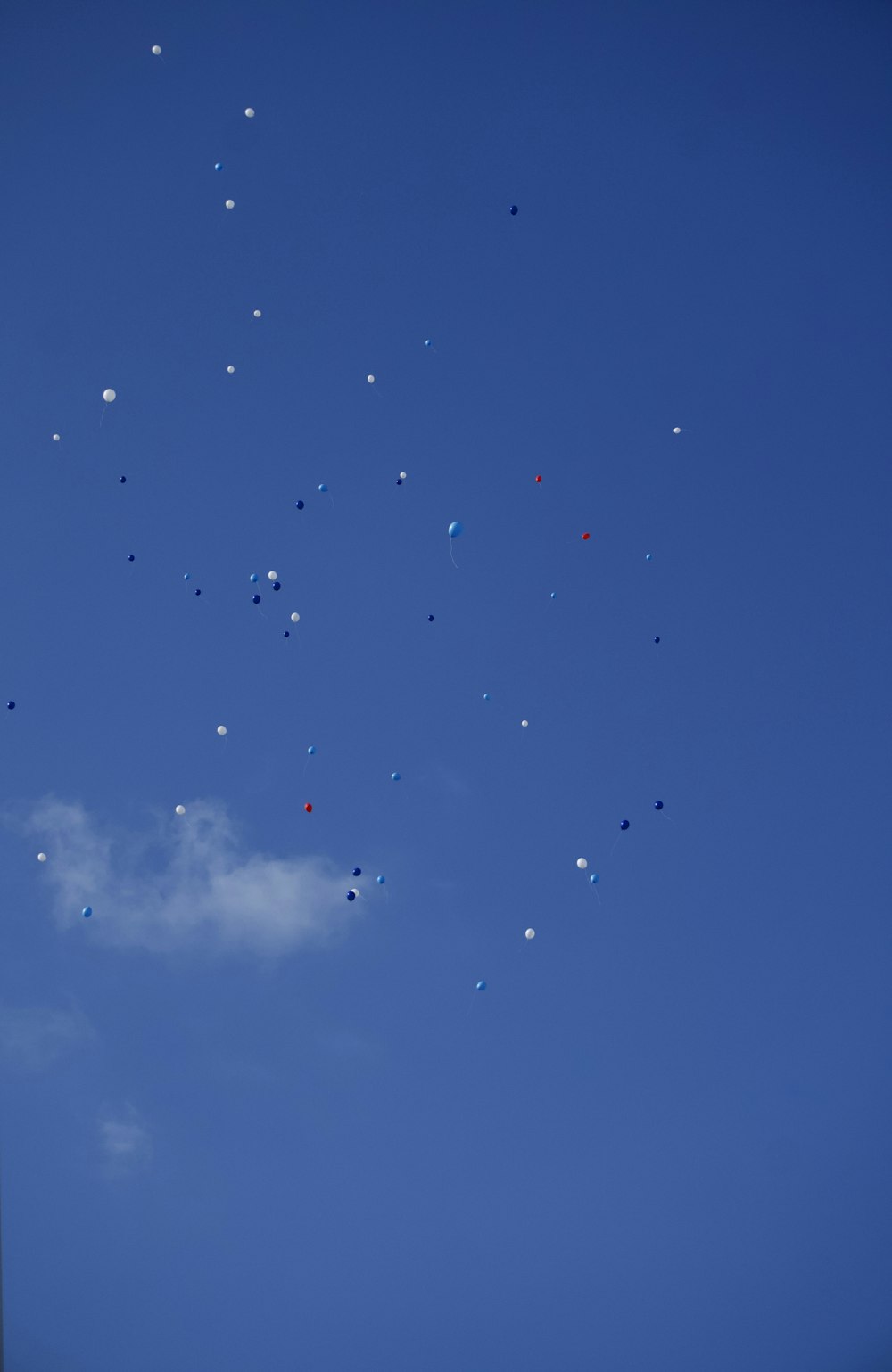 a bunch of balloons are flying in the sky