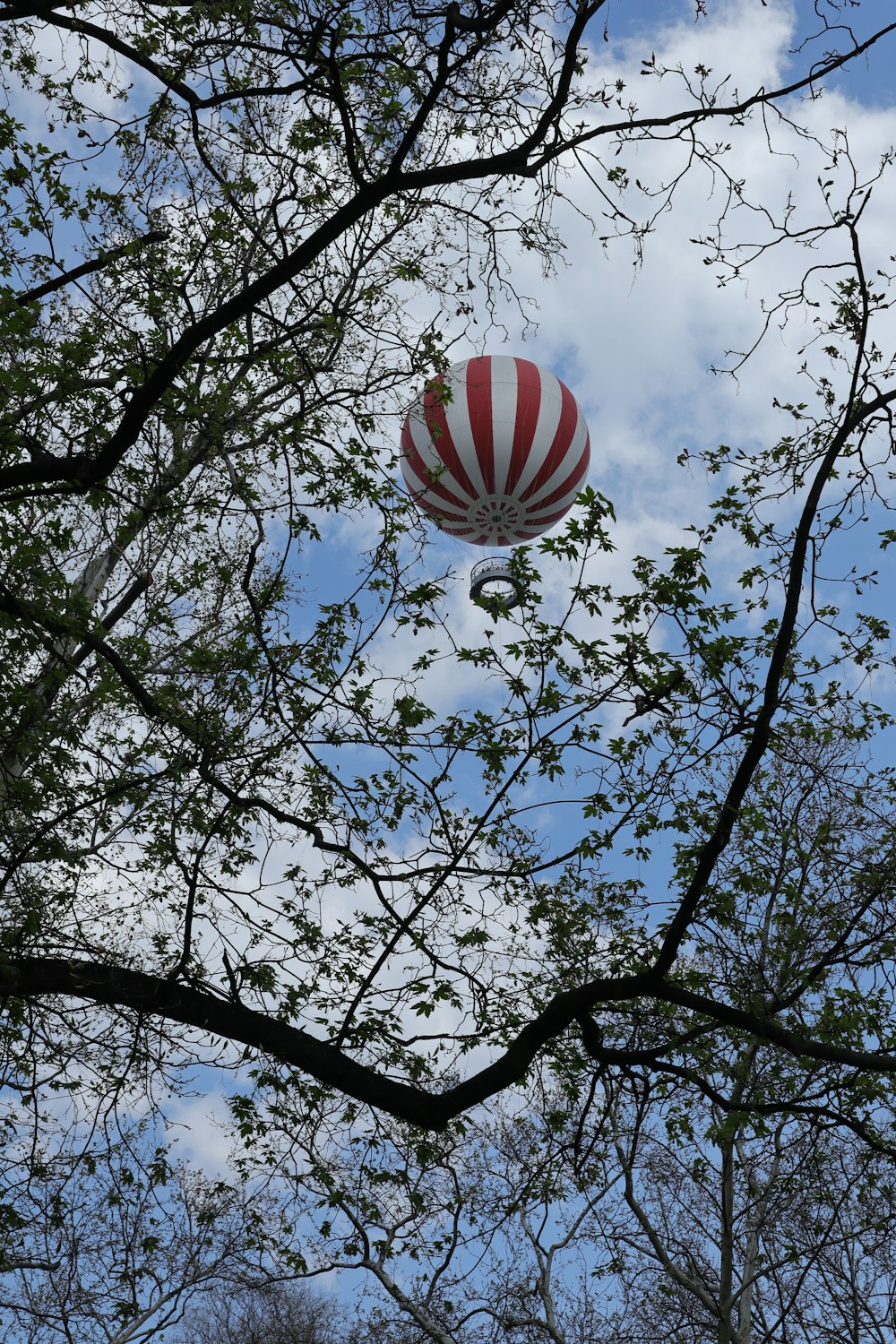 空に浮かぶ赤と白の熱気球