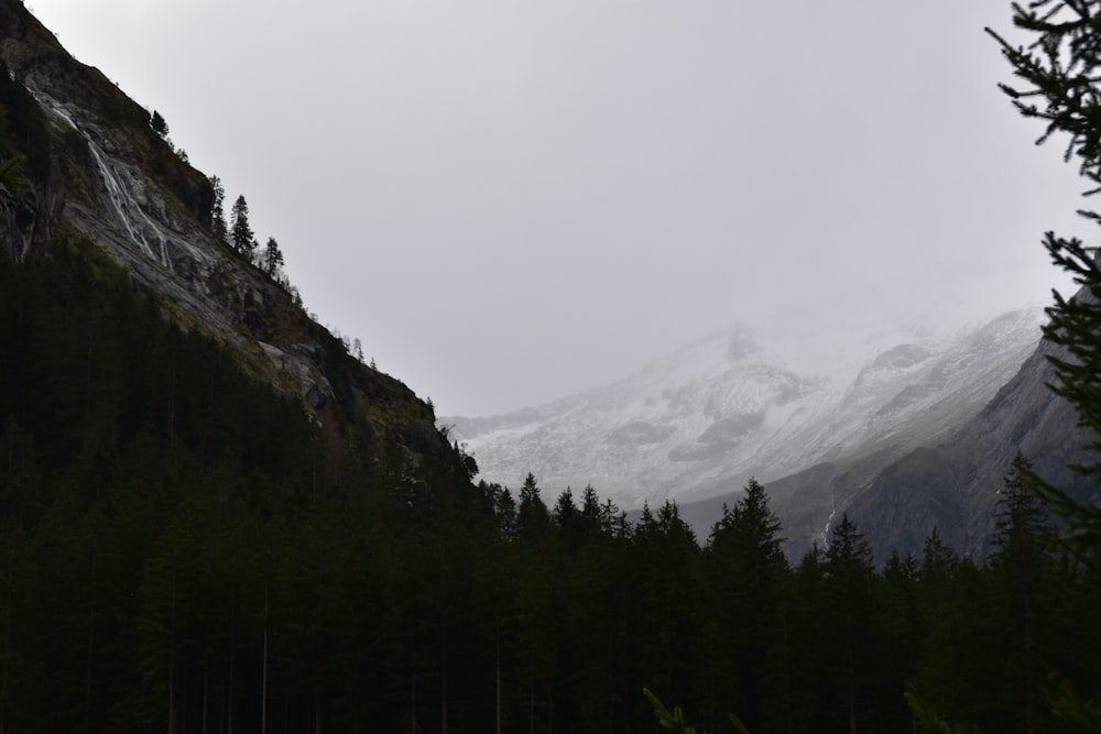 a snow covered mountain with trees in the foreground