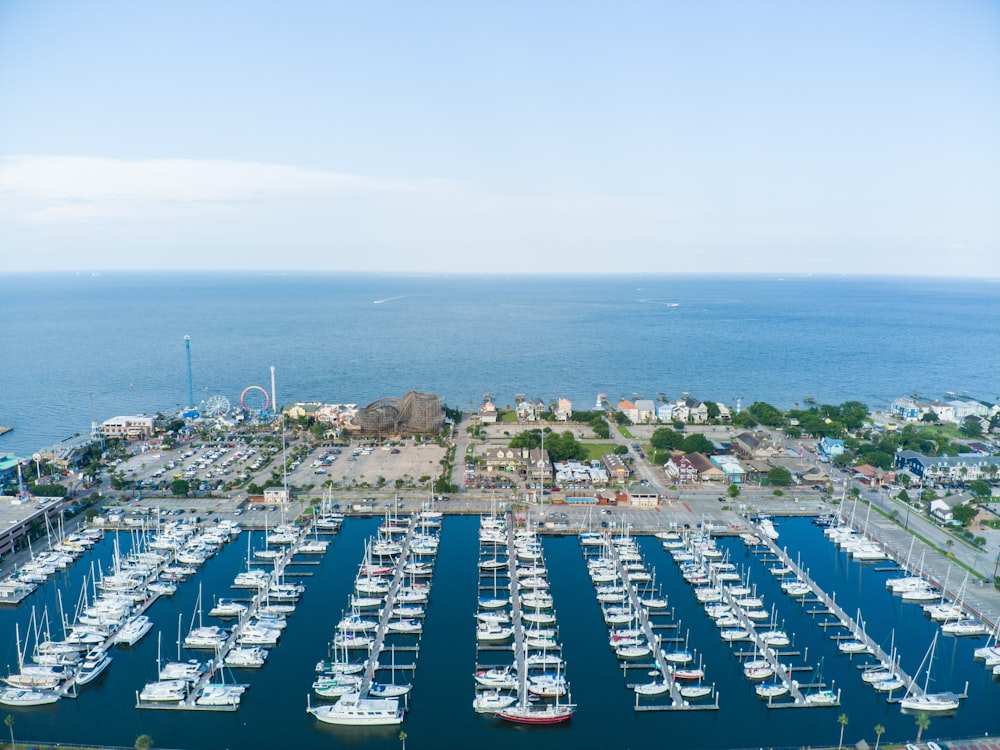 a marina filled with lots of white boats