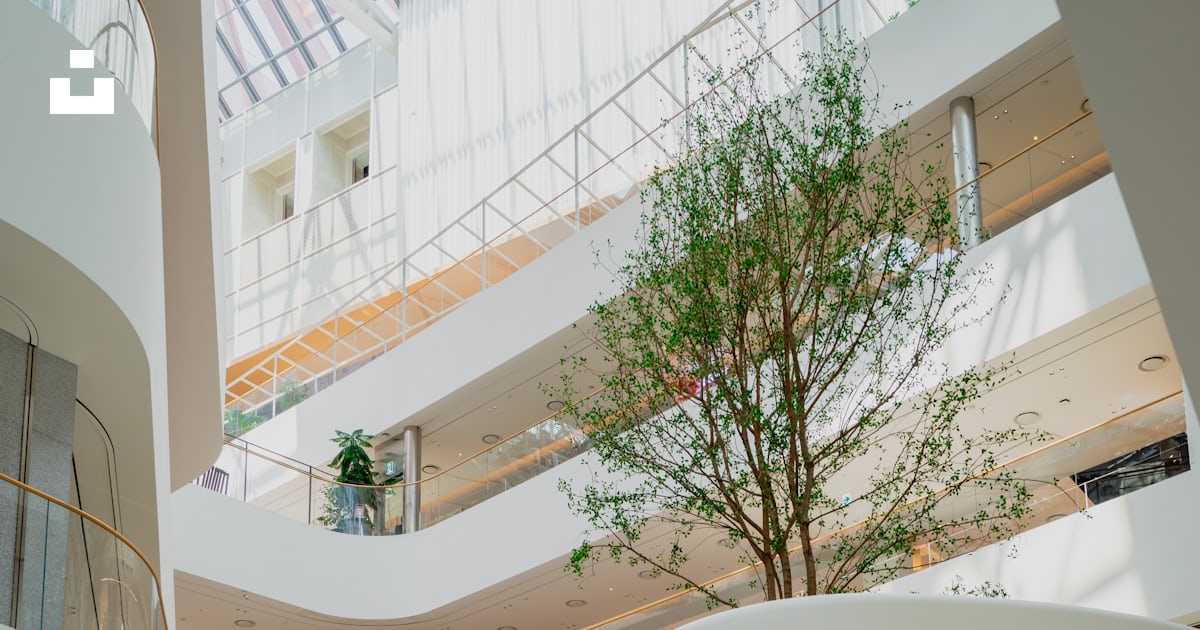 A large atrium with a tree inside of it photo – Free Image on Unsplash