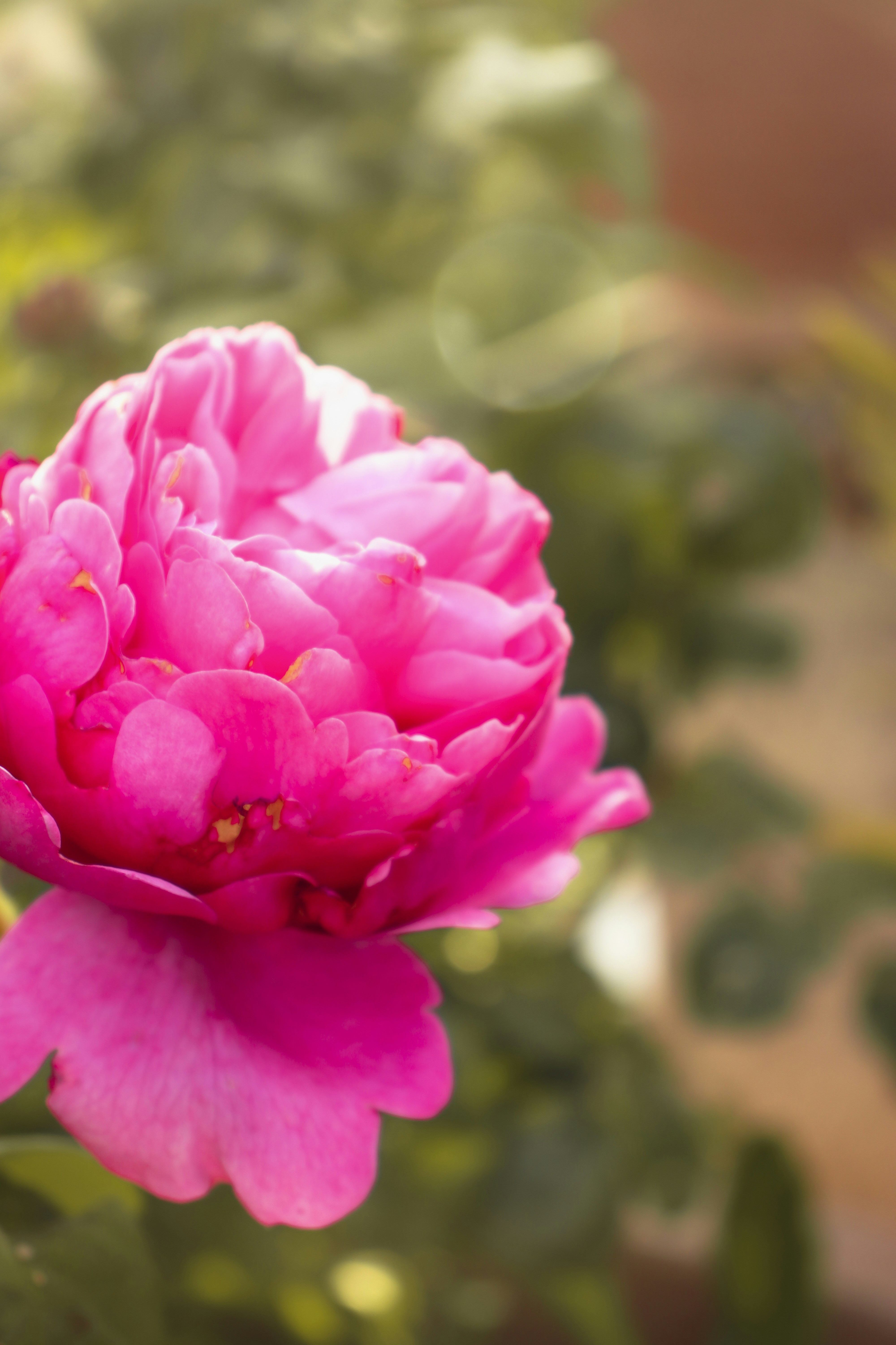 Photo by cole_ciarlello