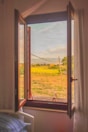 Large windows framing a serene view of the farm from the deluxe room.