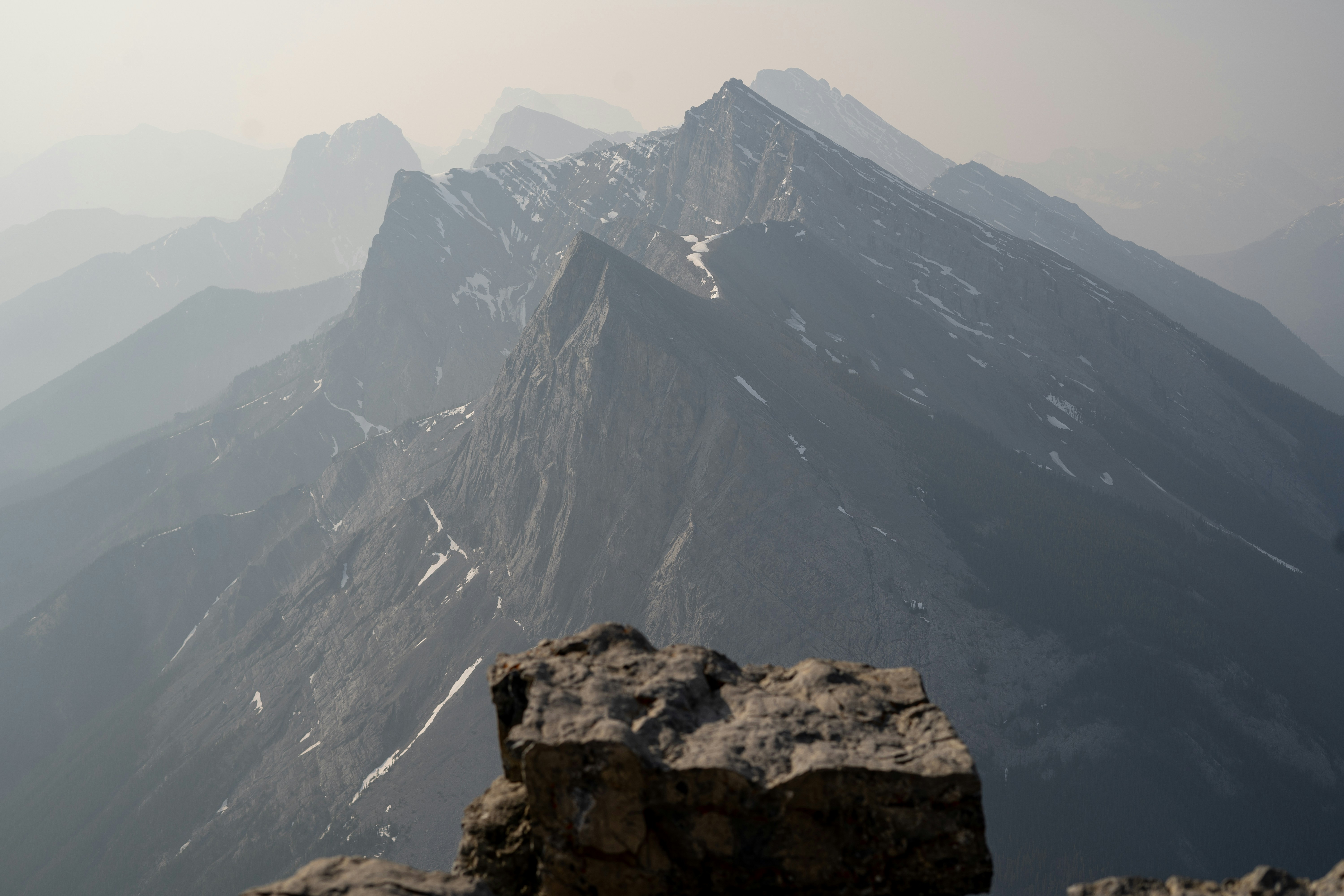 Photo by raquellucine