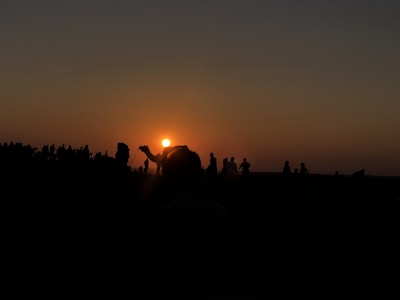 Golden sun setting behind rolling sand dunes with a silhouette of a camel caravan.