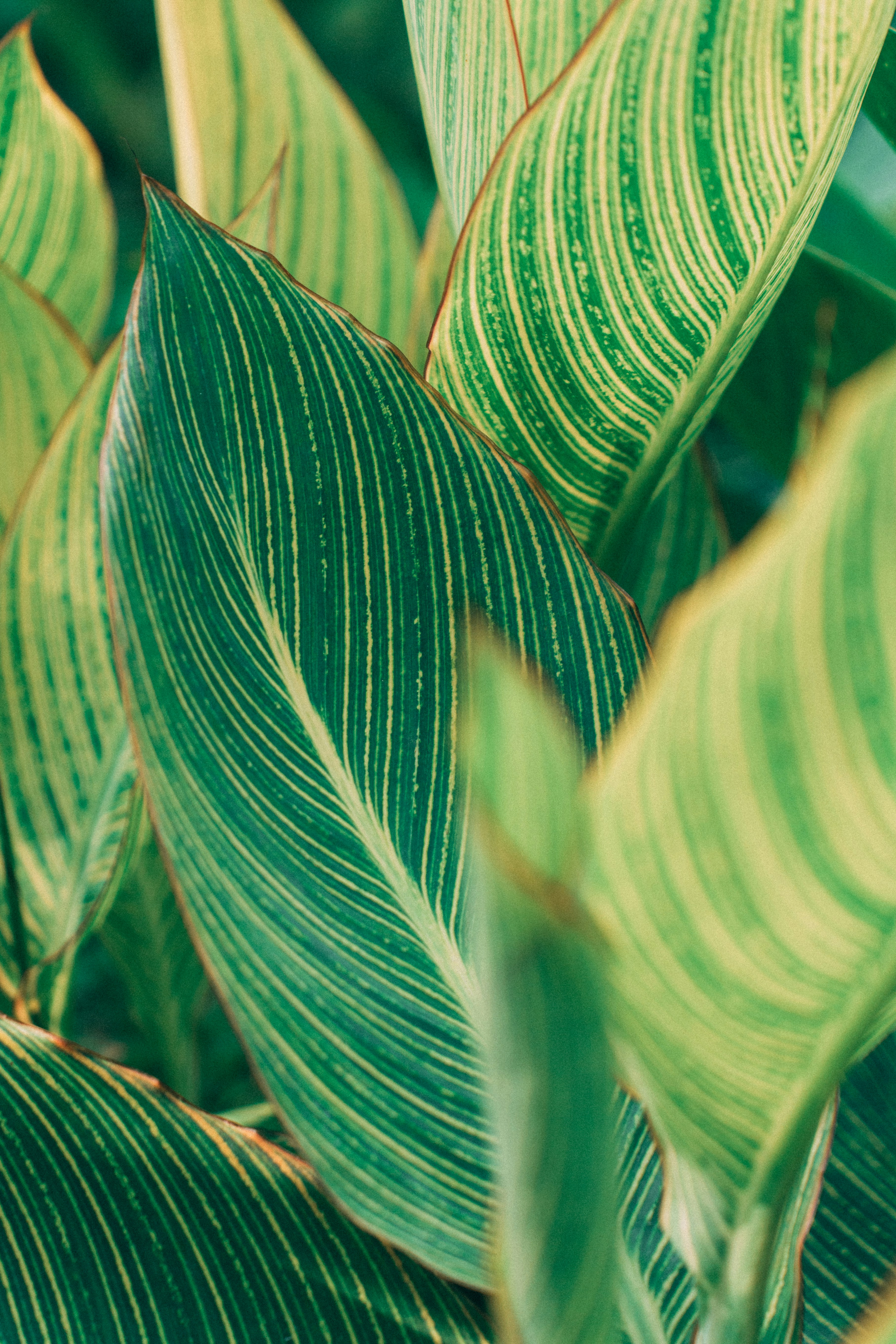 Photo by chriswong97