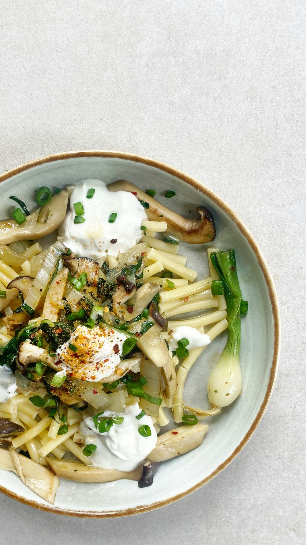 a plate of pasta with mushrooms, onions, and sour cream