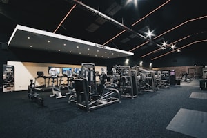 Compact Treadmill