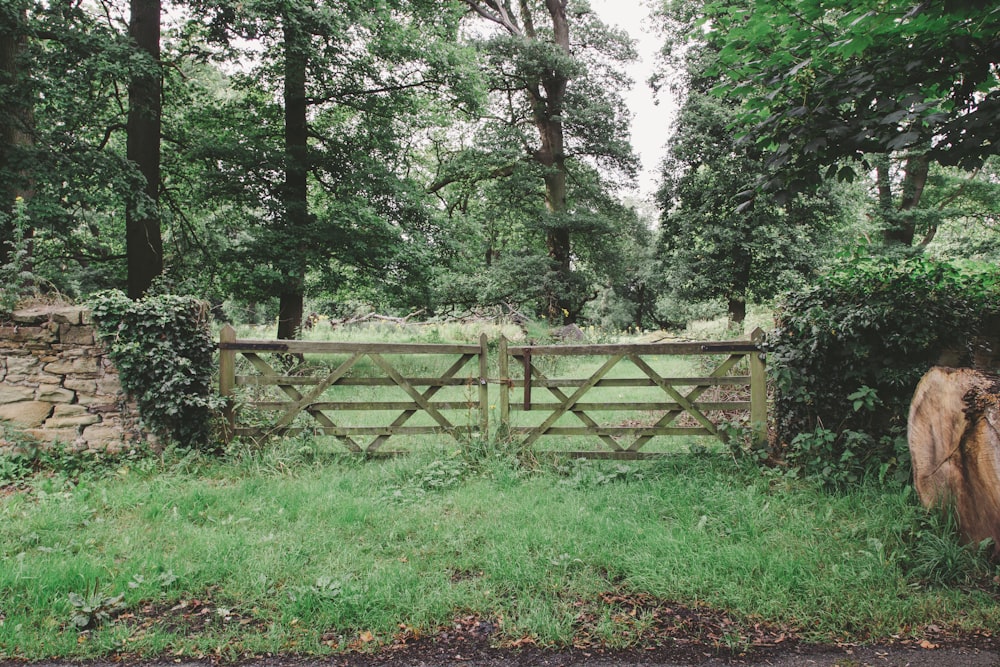 a wooden gate in the middle of a lush green field