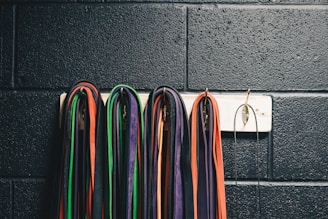 Multiple resistance bands of various colors, including red, green, purple, and orange, are neatly hung on a white wall-mounted rack against a textured, dark wall. The bands are looped over metal hooks.