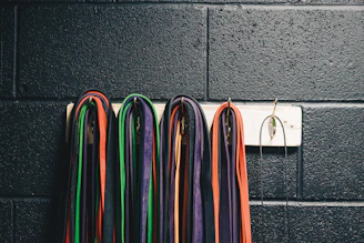 A set of colorful resistance bands hanging neatly on a wall rack.