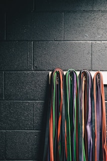 A collection of martial arts belts in various colors, including black, orange, green, purple, and red, hanging down a dark brick wall.