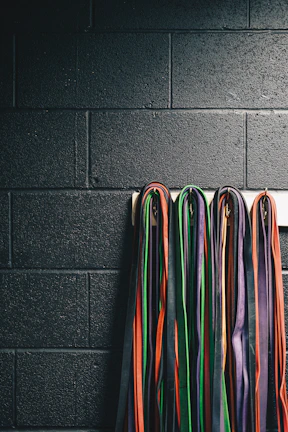 A display of colorful martial arts belts arranged by rank in a neat row.