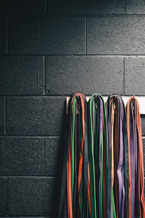 A collection of martial arts belts in various colors, including black, orange, green, purple, and red, hanging down a dark brick wall.