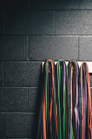 A collection of martial arts belts in various colors, including black, orange, green, purple, and red, hanging down a dark brick wall.